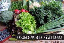 panier 20 juin (2) - Coop les Jardins de la Resistance
